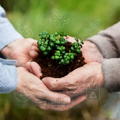 Tercera imagen publicada