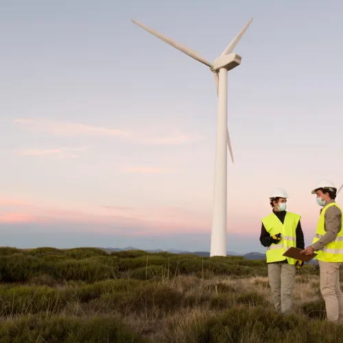 Imagen 6 de la galería