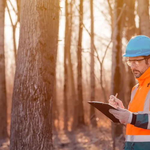 Imagen 11 de la galería