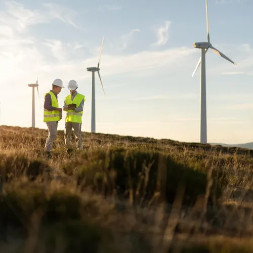 Imagen 7 de la galería