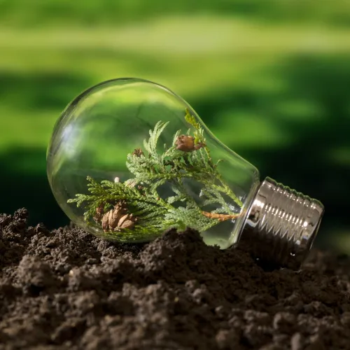 Imagen 9 de la galería