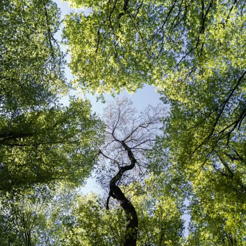 Quinta imagen interior
