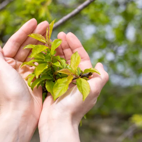 Cuarta imagen interior
